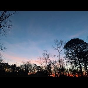 Meet your Posher, Mallory